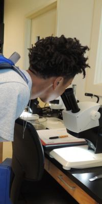high school student looking through microscope